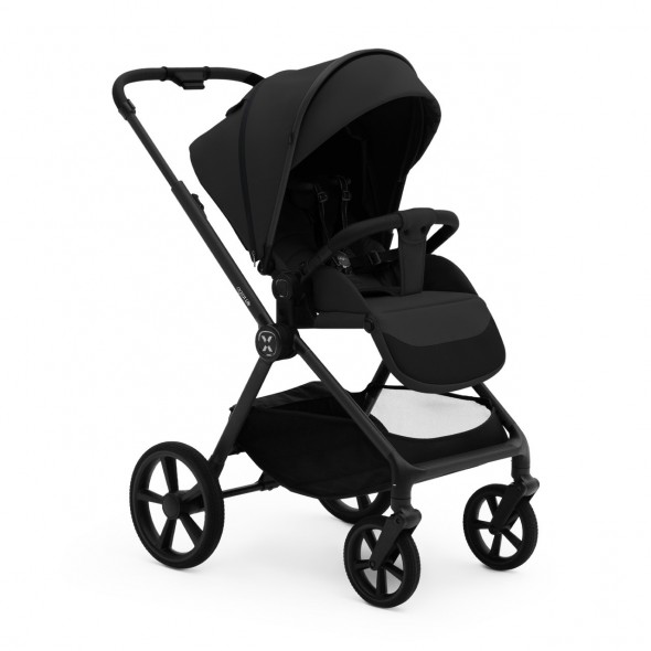 Коляска 2 в 1 Agex Life 2026