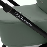 Коляска 2 в 1 Agex Prima Pro