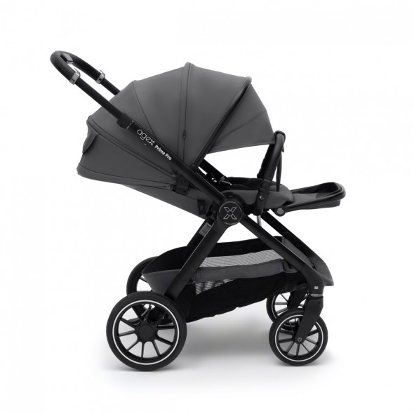 Коляска 2 в 1 Agex Prima Pro