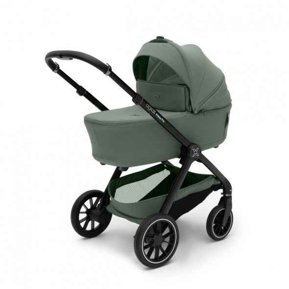 Коляска 2 в 1 Agex Prima Pro