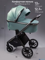 Коляска 2 в 1 AmaroBaby Motus Premium Ecco