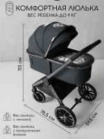 Коляска детская 2 в 1 Amarobaby Motus V2