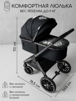 Коляска детская 2 в 1 Amarobaby Motus V2