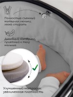 Коляска детская 2 в 1 Amarobaby Motus V2
