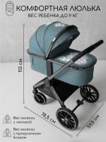 Коляска детская 2 в 1 Amarobaby Motus V2