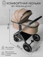 Коляска детская 2 в 1 Amarobaby Motus V2