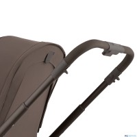 Детская коляска 2 в 1 Anex Flo 2025