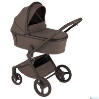 Детская коляска 2 в 1 Anex Flo 2025