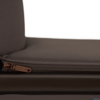 Детская коляска 2 в 1 Anex Flo 2025