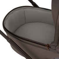 Детская коляска 2 в 1 Anex Flo 2025