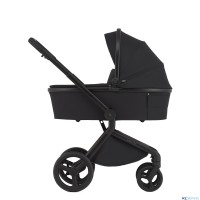 Детская коляска 2 в 1 Anex Flo 2025