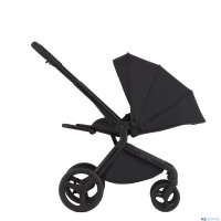 Детская коляска 2 в 1 Anex Flo 2025