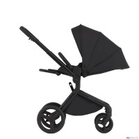 Детская коляска 2 в 1 Anex Flo 2025