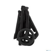 Детская коляска 2 в 1 Anex Flo 2025