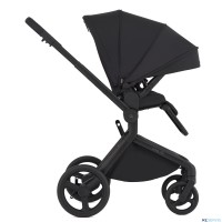 Детская коляска 2 в 1 Anex Flo 2025