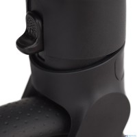 Детская коляска 2 в 1 Anex Flo 2025