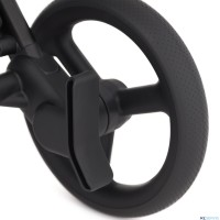 Детская коляска 2 в 1 Anex Flo 2025