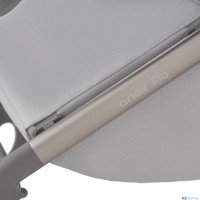 Детская коляска 2 в 1 Anex Flo 2025