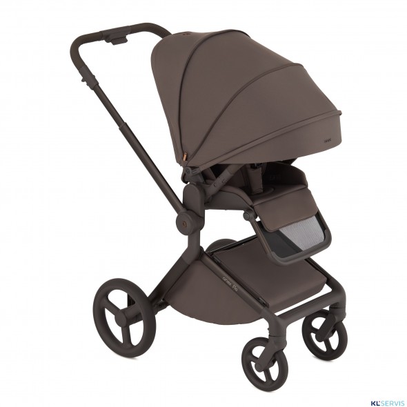 Детская коляска 2 в 1 Anex Flo 2025