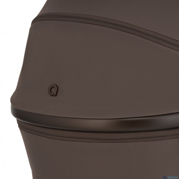 Детская коляска 2 в 1 Anex Flo 2025