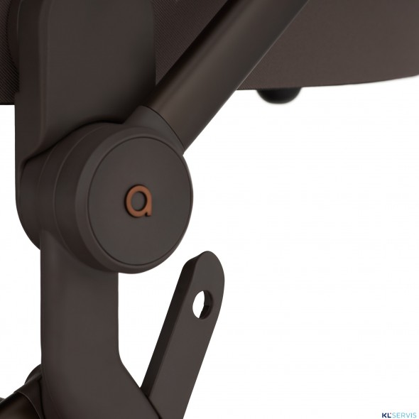 Детская коляска 2 в 1 Anex Flo 2025