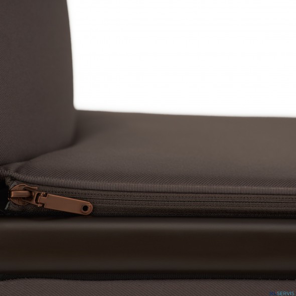 Детская коляска 2 в 1 Anex Flo 2025