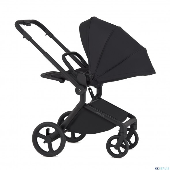 Детская коляска 2 в 1 Anex Flo 2025