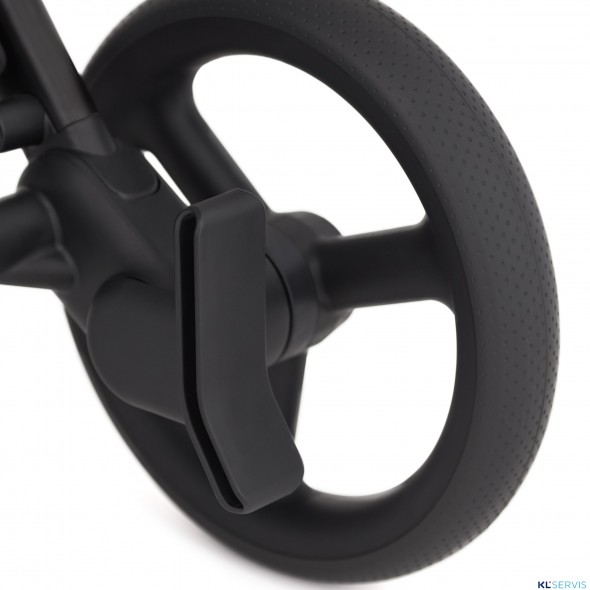 Детская коляска 2 в 1 Anex Flo 2025