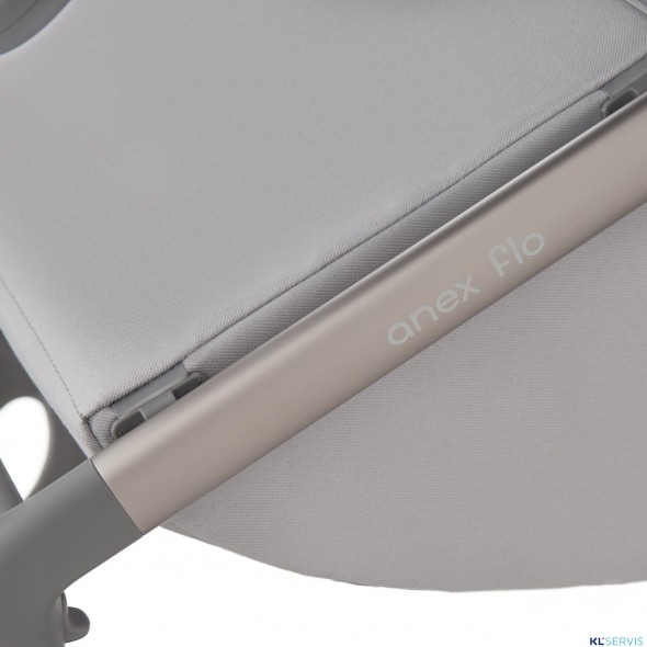 Детская коляска 2 в 1 Anex Flo 2025