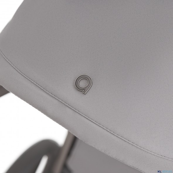 Детская коляска 2 в 1 Anex Flo 2025