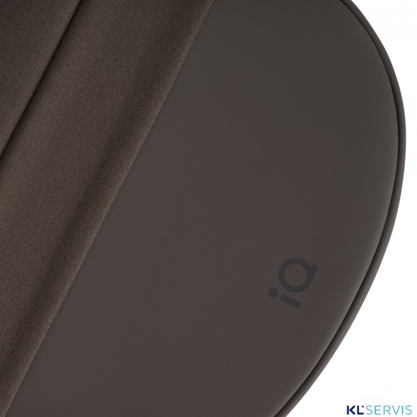 Коляска 2 в 1 Anex iQ Premium 2025