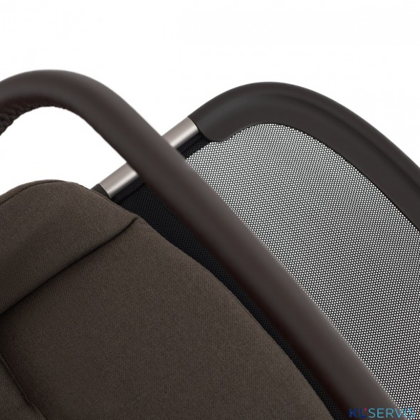 Коляска 2 в 1 Anex iQ Premium 2025