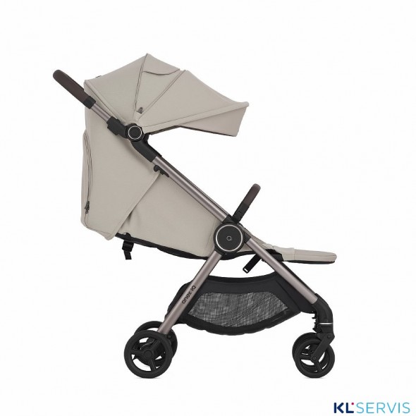 Коляска 2 в 1 Anex iQ Premium 2025-2026