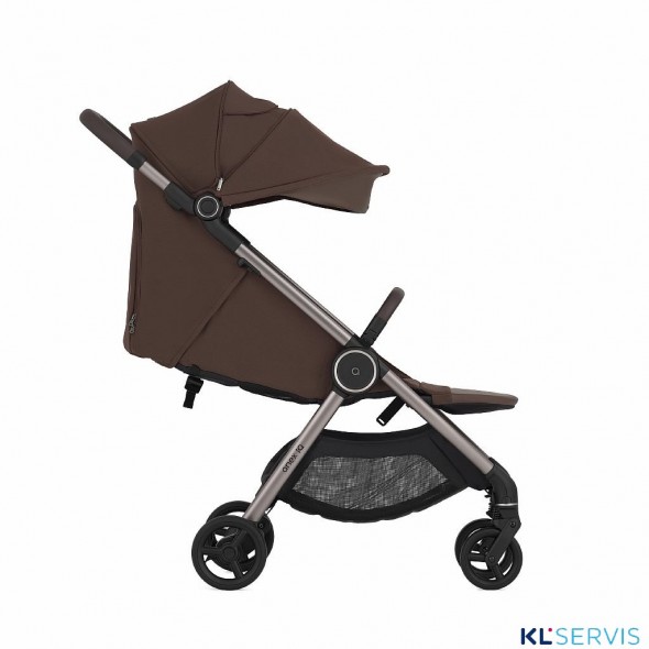 Коляска 2 в 1 Anex iQ Premium 2025-2026