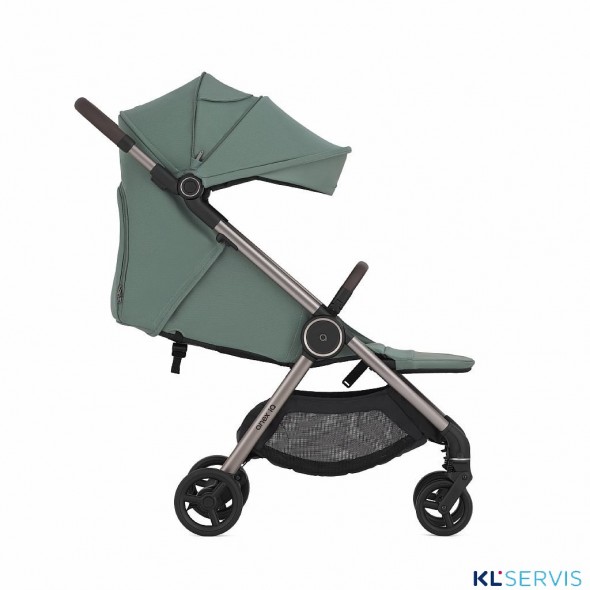 Коляска 2 в 1 Anex iQ Premium 2025-2026