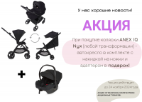 КОЛЯСКА  Anex IQ basic 3в1