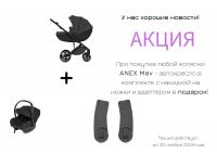 Коляска 2 в 1 Anex Mev