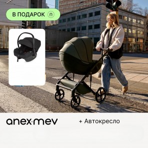 Коляска 2 в 1 Anex Mev