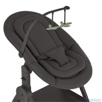 Стульчик для кормления Anex Ozy