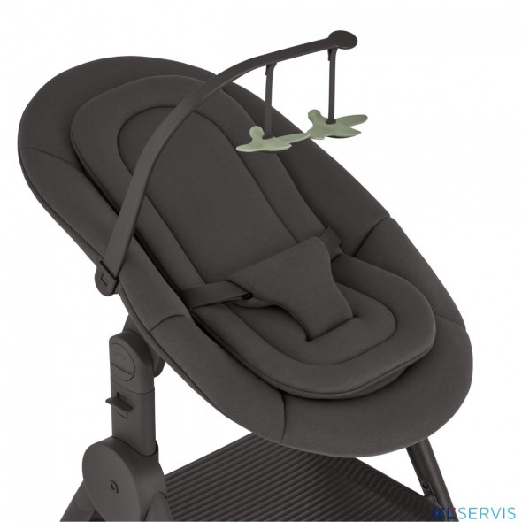 Стульчик для кормления Anex Ozy