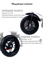 Детский трехколесный велосипед Bubago Dragon  