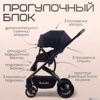 Модульная коляска Lotta 3в1 LIMITED 