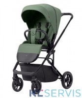 Детская коляска  CARRELLO  Alfa  CRL-5508 / 2024 лак												