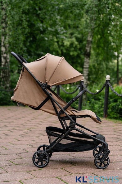 Прогулочная коляска CARRELLO Evo CRL-5533