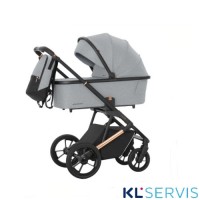 Коляска 2 в 1 Carrello Sigma CRL-6509 / 2023