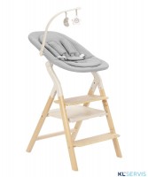 Стульчик для кормления Carrello Ergo 4в1 CRL-16701