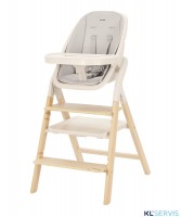 Стульчик для кормления Carrello Ergo 4в1 CRL-16701