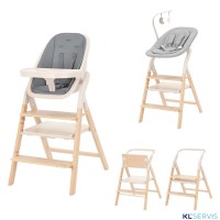 Стульчик для кормления Carrello Ergo 4в1 CRL-16701