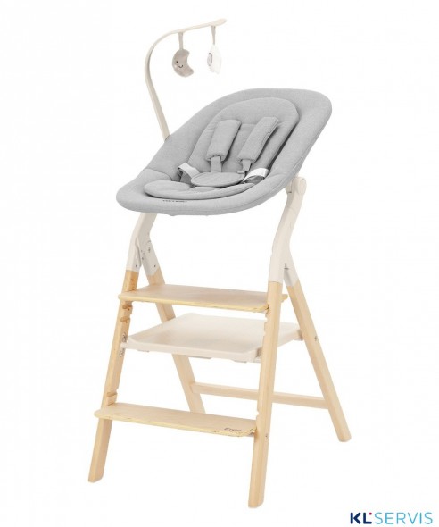 Стульчик для кормления Carrello Ergo 4в1 CRL-16701