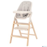 Стульчик для кормления Carrello Ergo 4в1 CRL-16701
